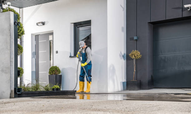 Best House Exterior Washing  in Fisher, IL
